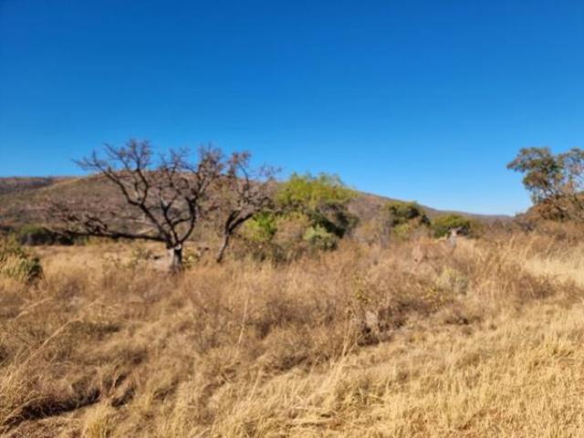 1.1 ha Land available in Modimolle Nylstroom