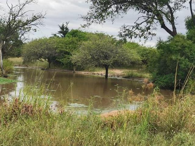 1.1 ha Land available in Moditlo Wildlife Estate