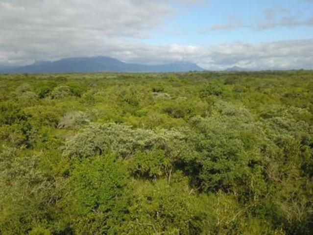 1.1 ha Land available in Moditlo Nature Reserve