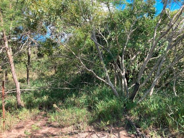 1.1 ha Land available in Moditlo Wildlife Estate