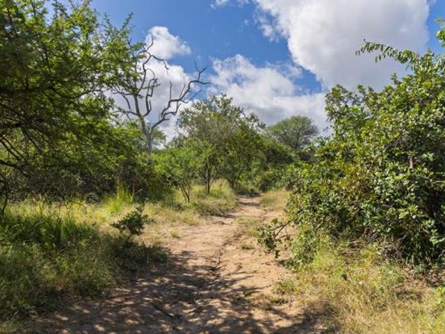 1.1 ha Land available in Moditlo Nature Reserve