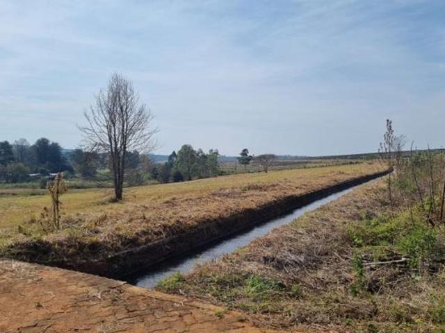 1.1 ha Land available in White River Central