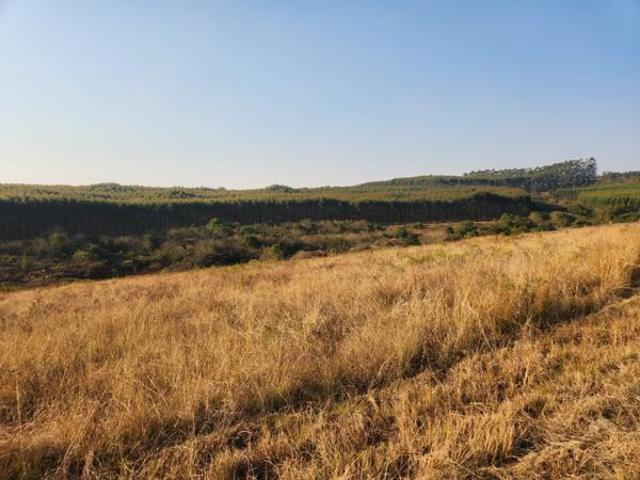 1.1 ha Land available in White River Outlying