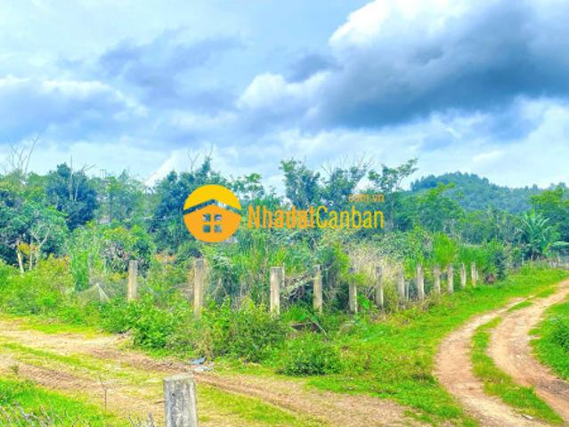 1,1 ha đất hẻm bên sông pré, phú hội cũ, đức trọng, lâm đồng