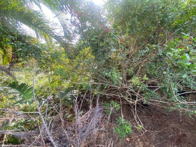 1 247 m² Land available in Port Edward