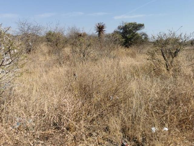 1 245 m² Land available in Bendor