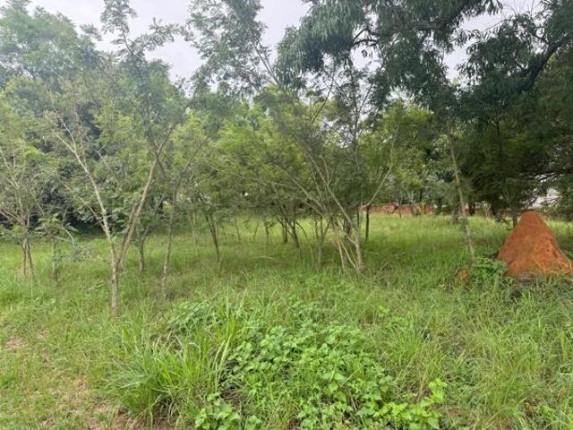 1 248 m² Land available in Drum Rock