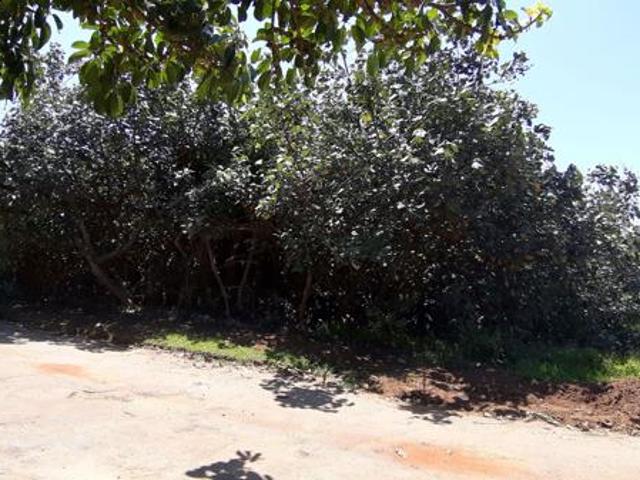 1 248 m² Land available in Hibberdene