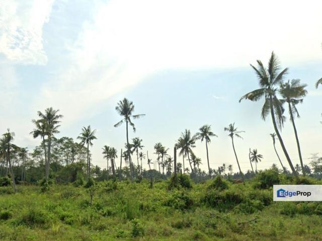 1.24 Acres Agricultural Land, Kampung Perepat, Kapar, Klang for SALE