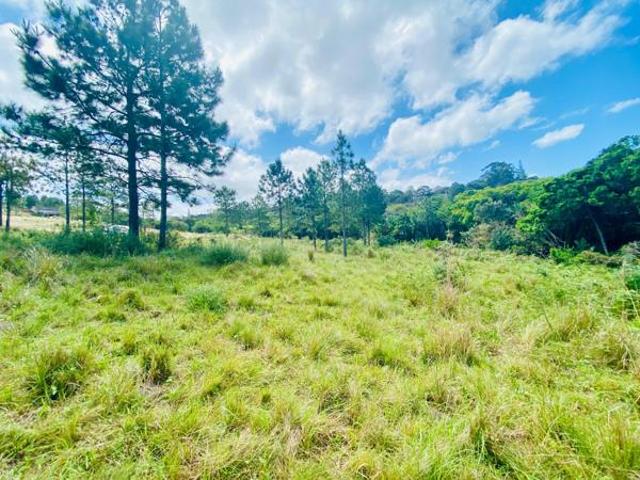 1 253 m² Land available in Margate