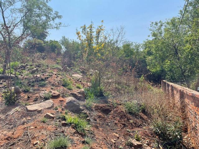 1,255m² Vacant Land For Sale in Cashan