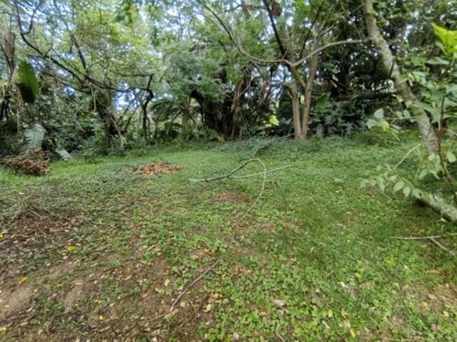 1 259 m² Land available in Hibberdene