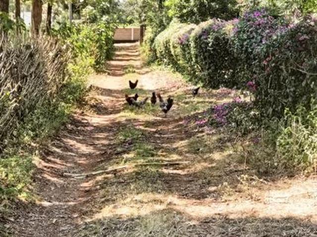 1.25 Acres land for sale in Kianjai Meru