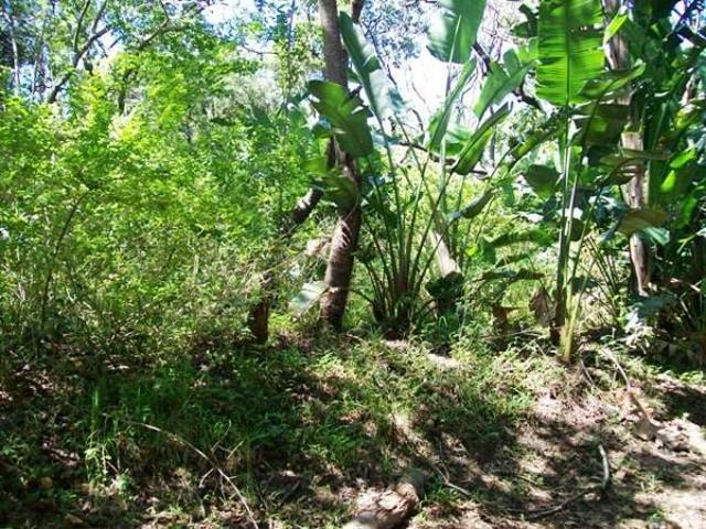 1 269 m² Land available in Trafalgar