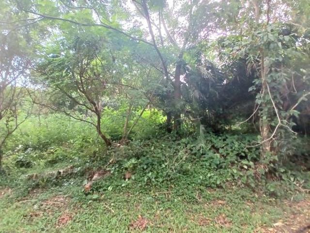 1 281 m² Land available in Uvongo
