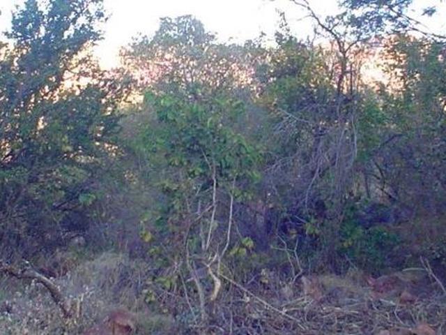 1 289 m² Land available in Thabazimbi