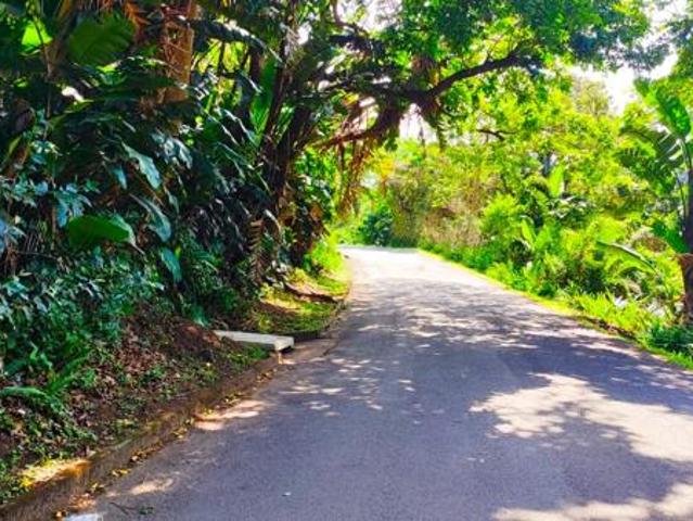 1 294 m² Land available in Marina Beach