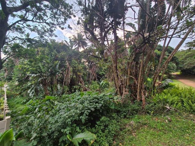 1 296 m² Land available in Leisure Bay