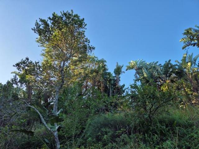 1 203 m² Land available in Leisure Bay