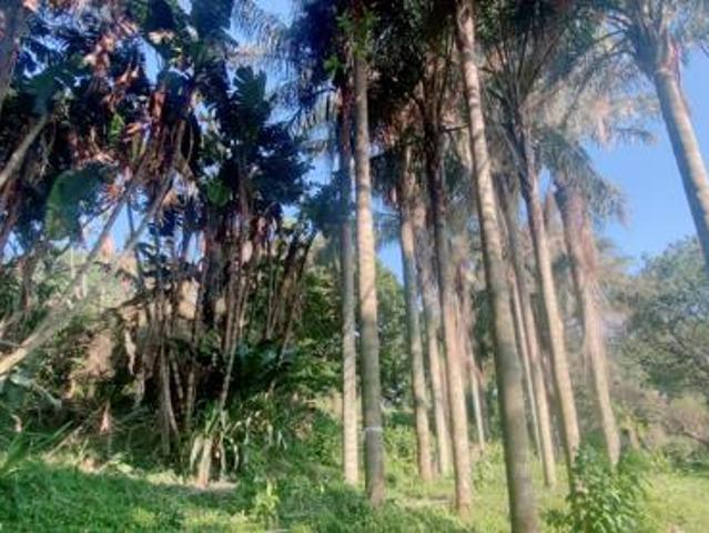 1 203 m² Land available in Seaton Estate
