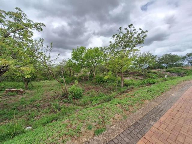 1 200 m² Land available in Drum Rock
