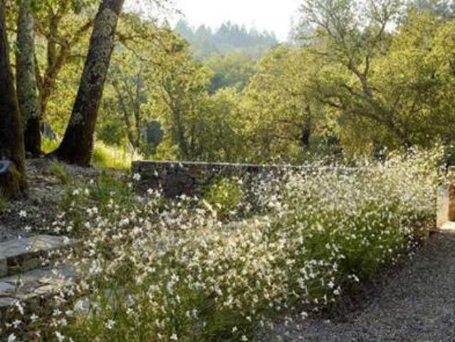 1 200 m² Land available in Stellenbosch Central