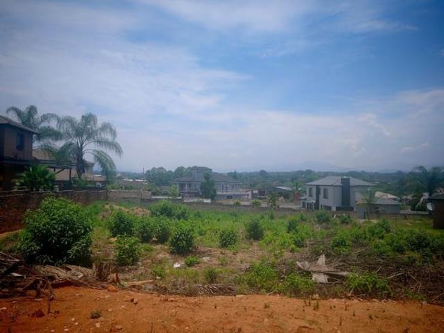 1 200 m² Land available in Tzaneen