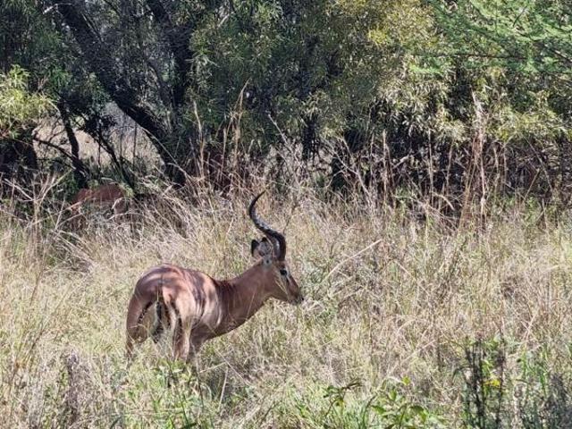 1 204 m² Land available in Koro Creek Golf Estate