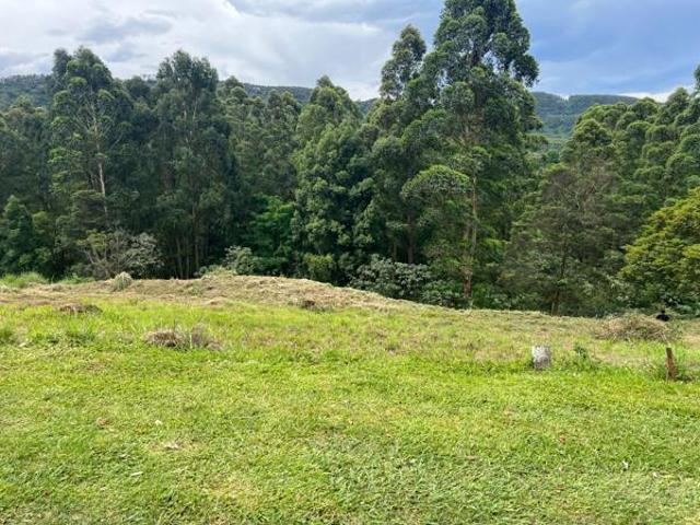 1 204 m² Land available in Victoria Country Club Estate
