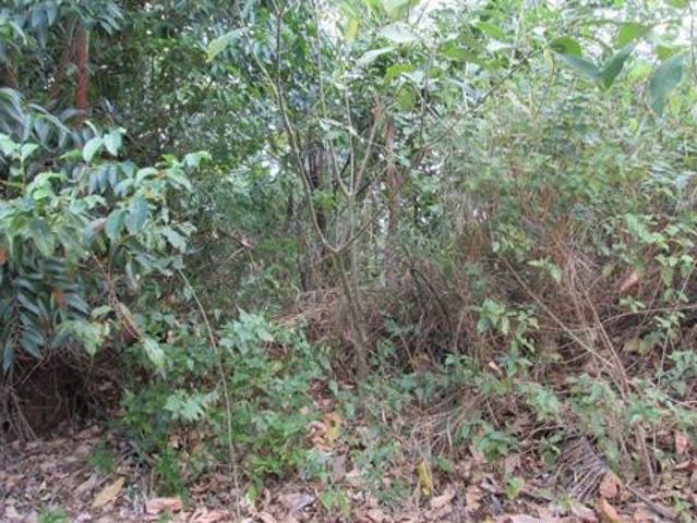 1 208 m² Land available in Marina Beach