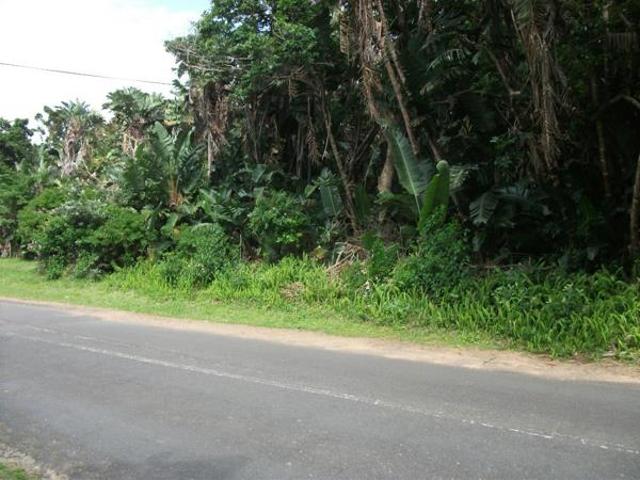1 210 m² Land available in Trafalgar