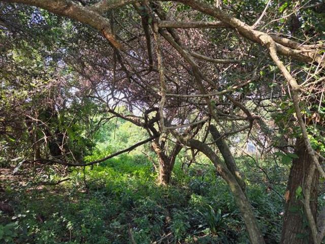 1 218 m² Land available in Elaleni Coastal Forest Estate