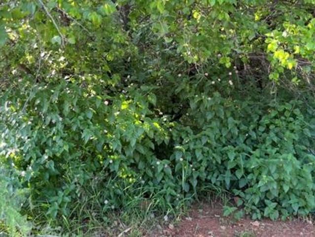 1 228 m² Land available in Seasons Lifestyle Estate