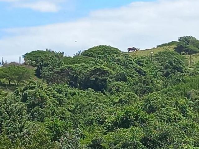 1 229 m² Land available in Khamanga Bay