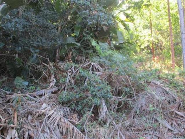 1 230 m² Land available in Marina Beach