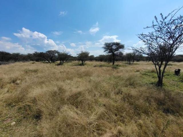 1 230 m² Land available in Thabazimbi
