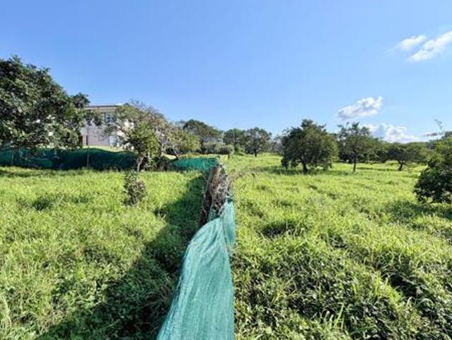 1 232 m² Land available in Zinkwazi Beach