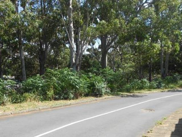 1 239 m² Land available in Margate
