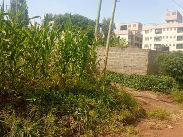 1⁄2 Acre for Sale in Kiamumbi Off Kamiti Road