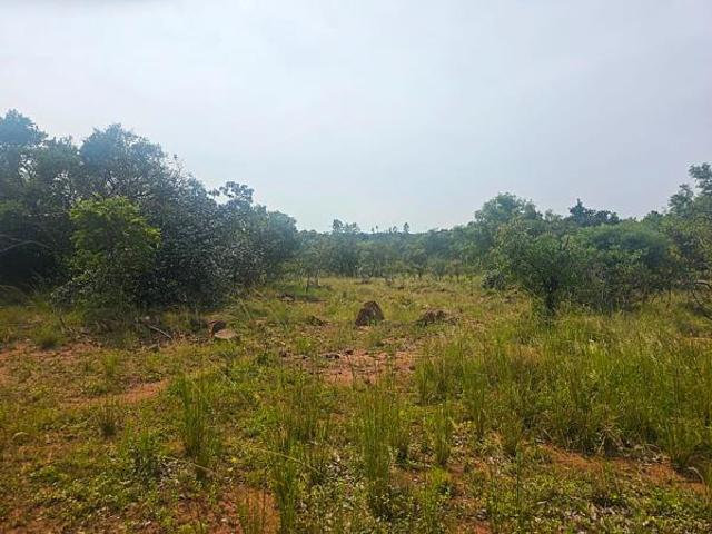 1.2 ha Land available in Bela Warmbaths