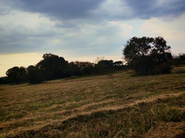 1.2 ha Land available in Bendor