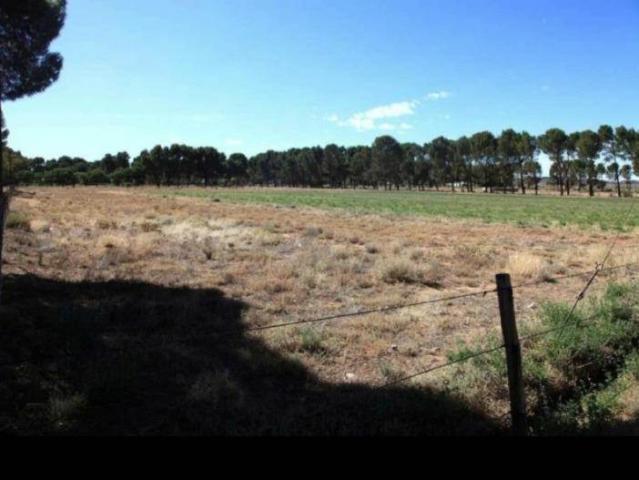 1.2 ha Land available in Loxton