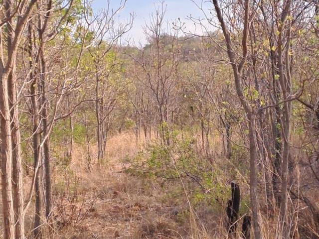 1.2 ha Land available in Modimole Nylstroom