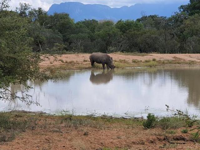 1.2 ha Land available in Moditlo Wildlife Estate