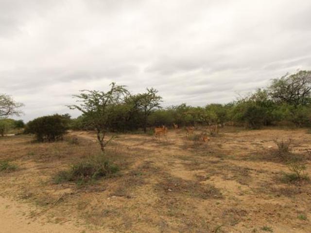 1.2 ha Land available in Moditlo Wildlife Estate