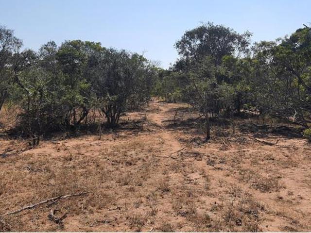 1.2 ha Land available in Moditlo Nature Reserve