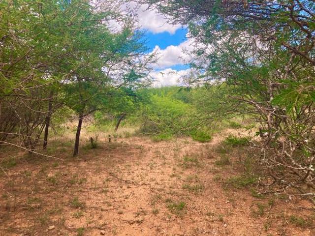 1.2 ha Land available in Moditlo Wildlife Estate