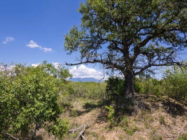 1.2 ha Land available in Moditlo Nature Reserve