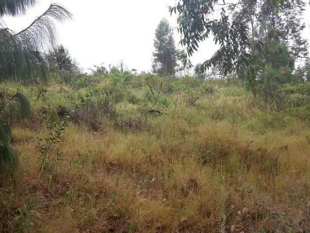 1.2 ha Land available in Sabie