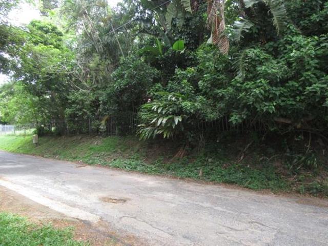 1.2 ha Land available in Pennington